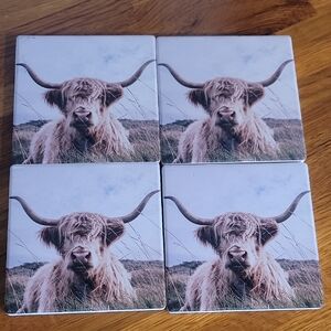 Highland Cow Coasters Set